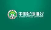 北青：足协处理年度第二起消极比赛，四川青年竞技被取消中冠资格